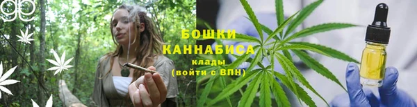 молекула духа Лабытнанги