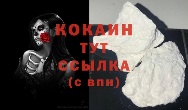 молекула духа Лабытнанги