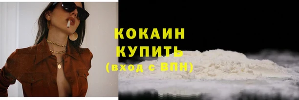 молекула духа Лабытнанги