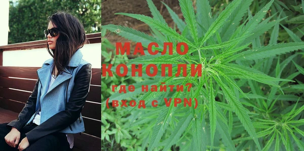 молекула духа Лабытнанги