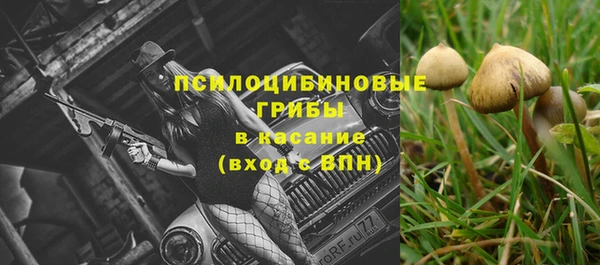 mdpv Лагань