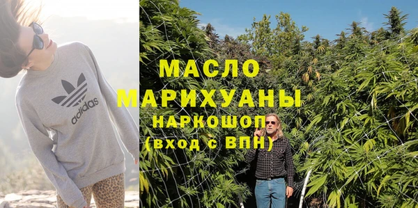 молекула духа Лабытнанги