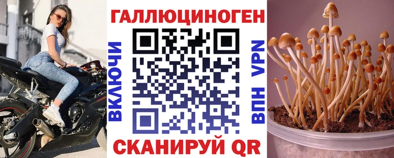 Галлюциногенные грибы мухоморы  Чулым 