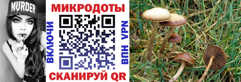 Галлюциногенные грибы Magic Shrooms Чулым